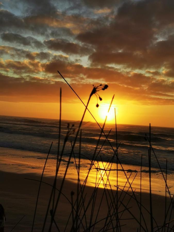 Bahia Rosa * Praia do Rosa